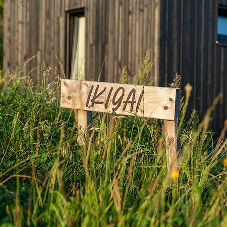 Domy Wypoczynkowe W Beskidach - Odpoczywaj W Naturze Laskowa  Exteriör bild