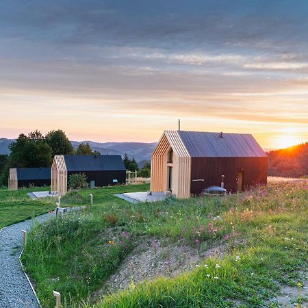 Domy Wypoczynkowe W Beskidach - Odpoczywaj W Naturze Laskowa  Exteriör bild