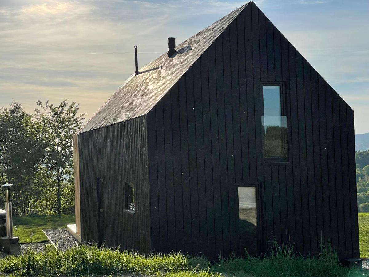Domy Wypoczynkowe W Beskidach - Odpoczywaj W Naturze Laskowa  Exteriör bild