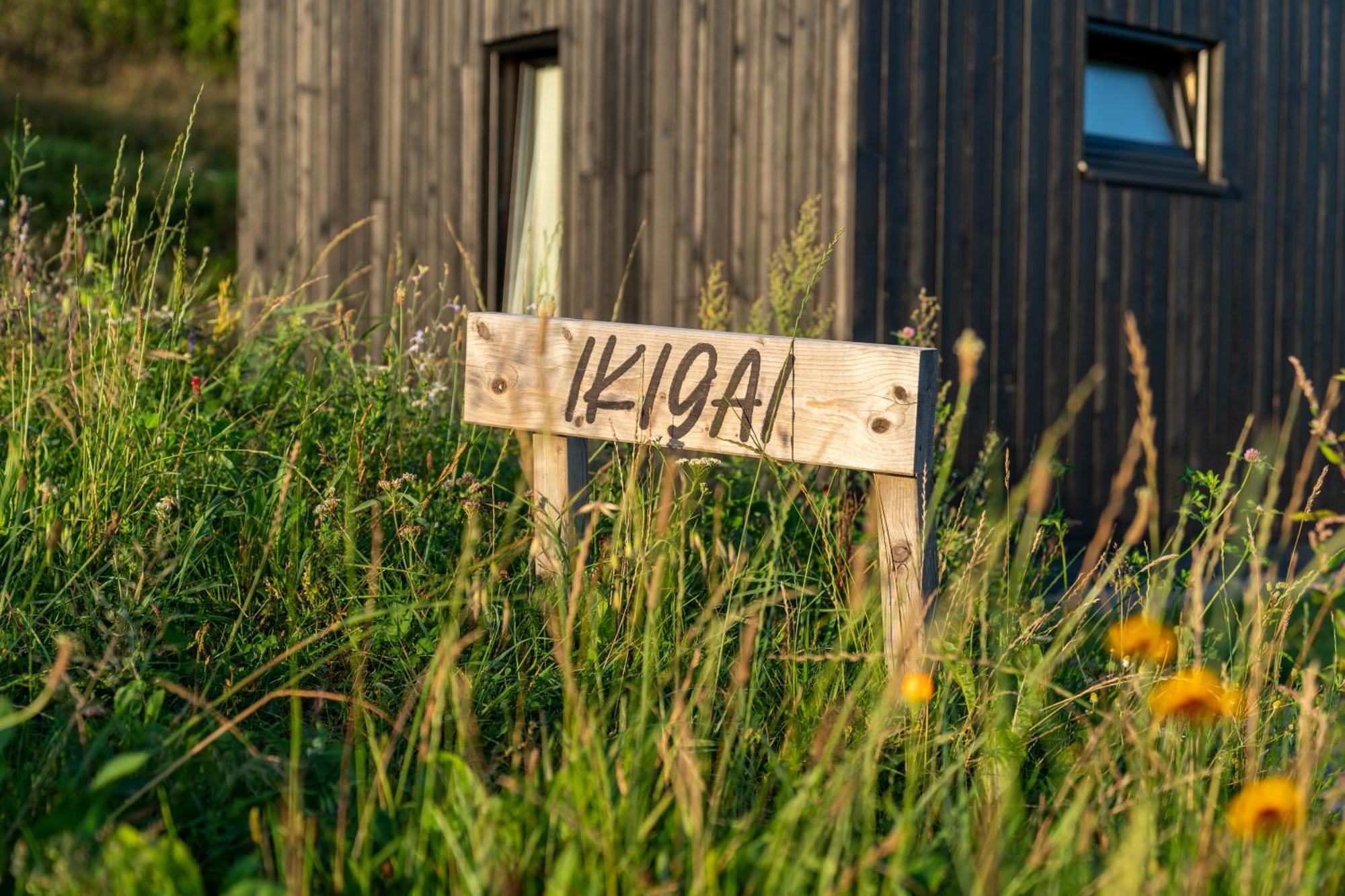Domy Wypoczynkowe W Beskidach - Odpoczywaj W Naturze Laskowa  Exteriör bild